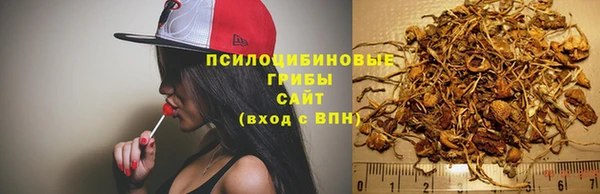 шишки Мегион