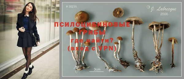 первитин Елабуга