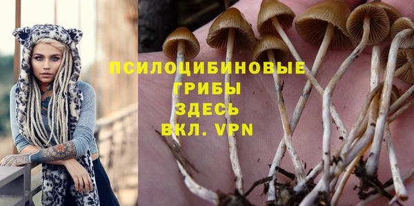 винт Михайловка