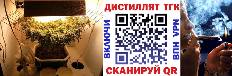 купить наркоту  Емва  Дистиллят ТГК Wax 