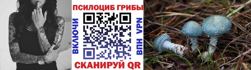 цены Емва kraken онион Галлюциногенные грибы MAGIC MUSHROOMS